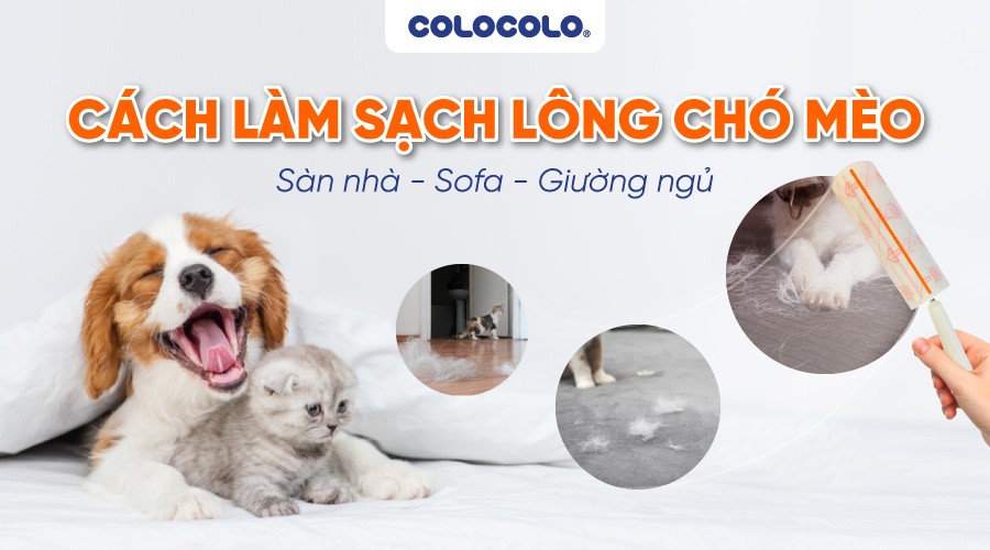 CÁCH LÀM SẠCH LÔNG MÈO TRIỆT ĐỂ CỰC KỲ ĐƠN GIẢN Lam-sach-long-cho-meo